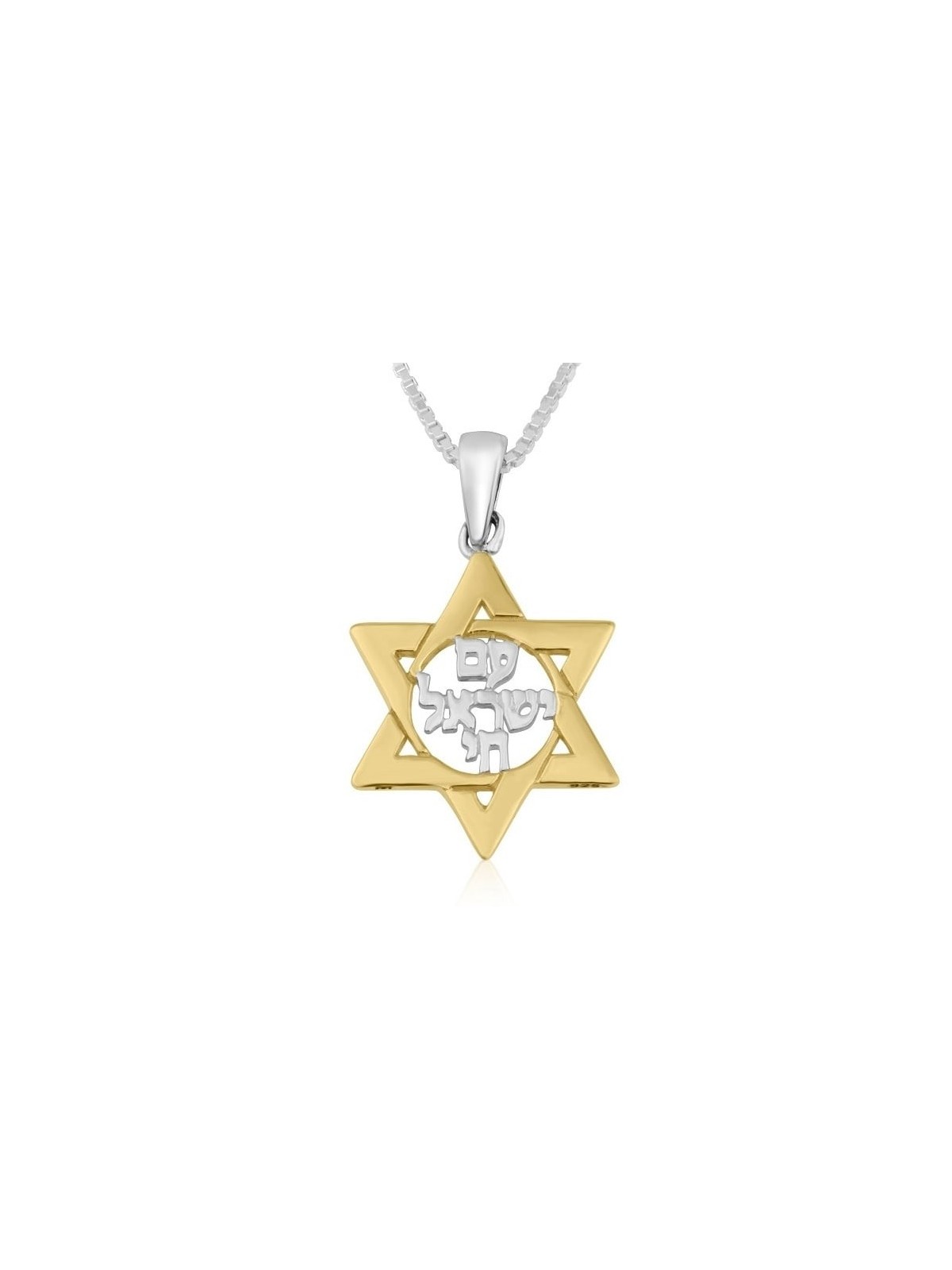 תליון שרשרת מגן דוד עם ישראל חי מצופה זהב